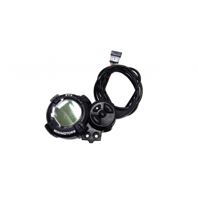 Дисплей для Dualtron Storm LTD 36-94V  (EY3)