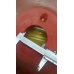 Шкив 400*75/ KRAN 20B/ 2012