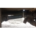 Вал карданный 530мм MAZ-Zoomlion ZTF250V42