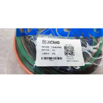 Ремкомплект цилиндра 114000003 XYIB00077 910115594 / XCMG XCT30_S Ремкомплект цилиндра 114000003 XYIB00077 910115594 / XCMG XCT30_S