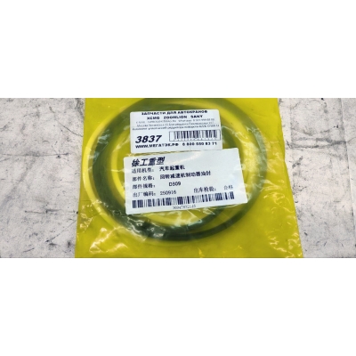 Комплект уплотнений редуктора поворота XZZX-D309 10310097/XCMG QY25K