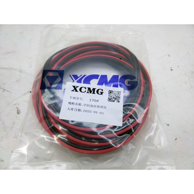 Ремкомплект центрального поворотного коллектора (ЦВК) 137901850/XCMG XCT30_S ОРИГИНАЛ D=170 мм
