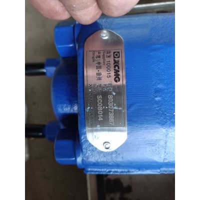 Насос гидравлический 11631340081/803073887 / XCMG XCT55